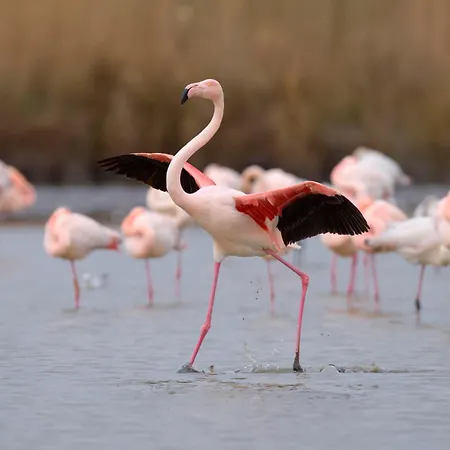 아파트 Le Quai Aux Fleurs-7 By Interhome